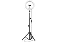 Aro de Luz Led 10" Profesional