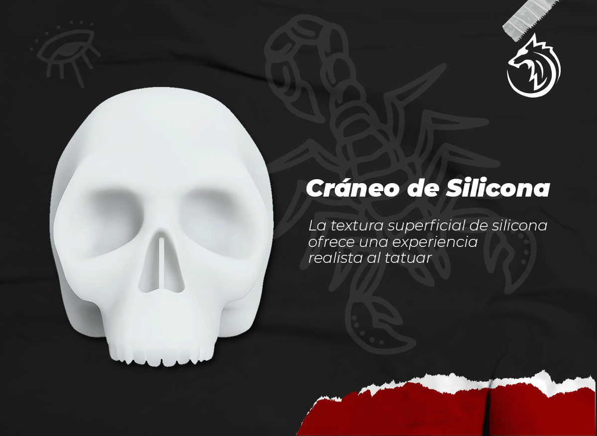 Cráneo De Silicona Para Práctica