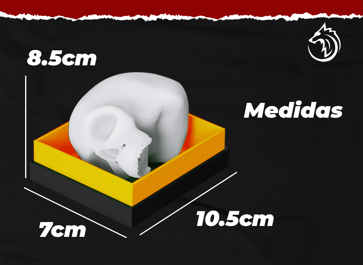 Cráneo De Silicona Para Práctica