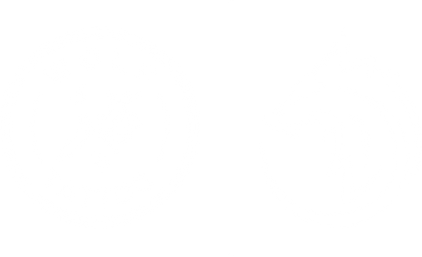 Wolf Tattoo Mx