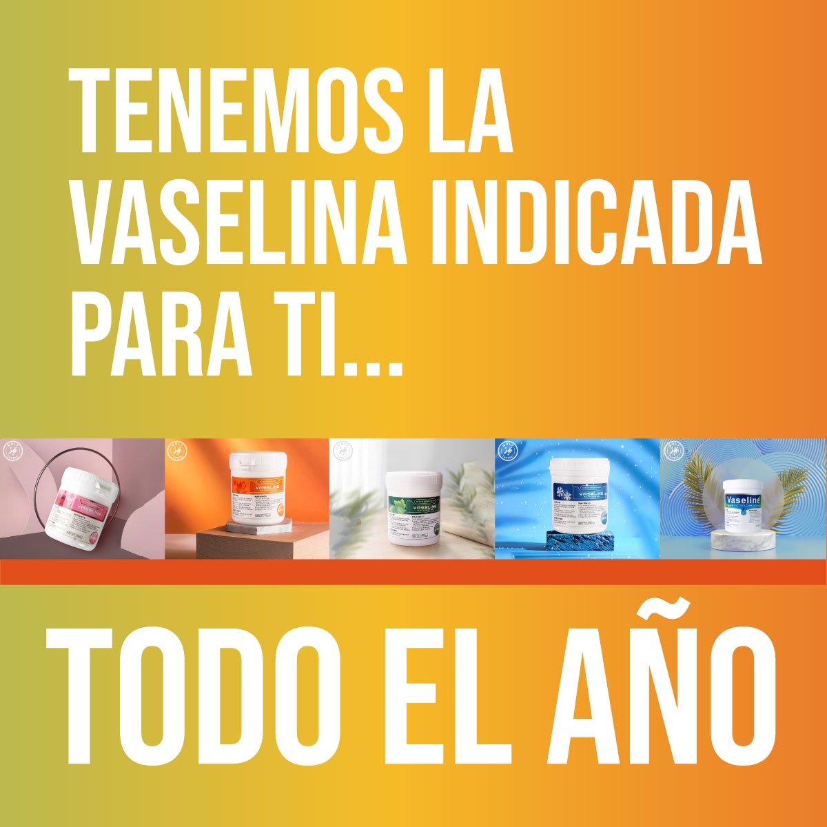 Ungüento 500g Tatuar Vaselina Para Tattoo Temporadas